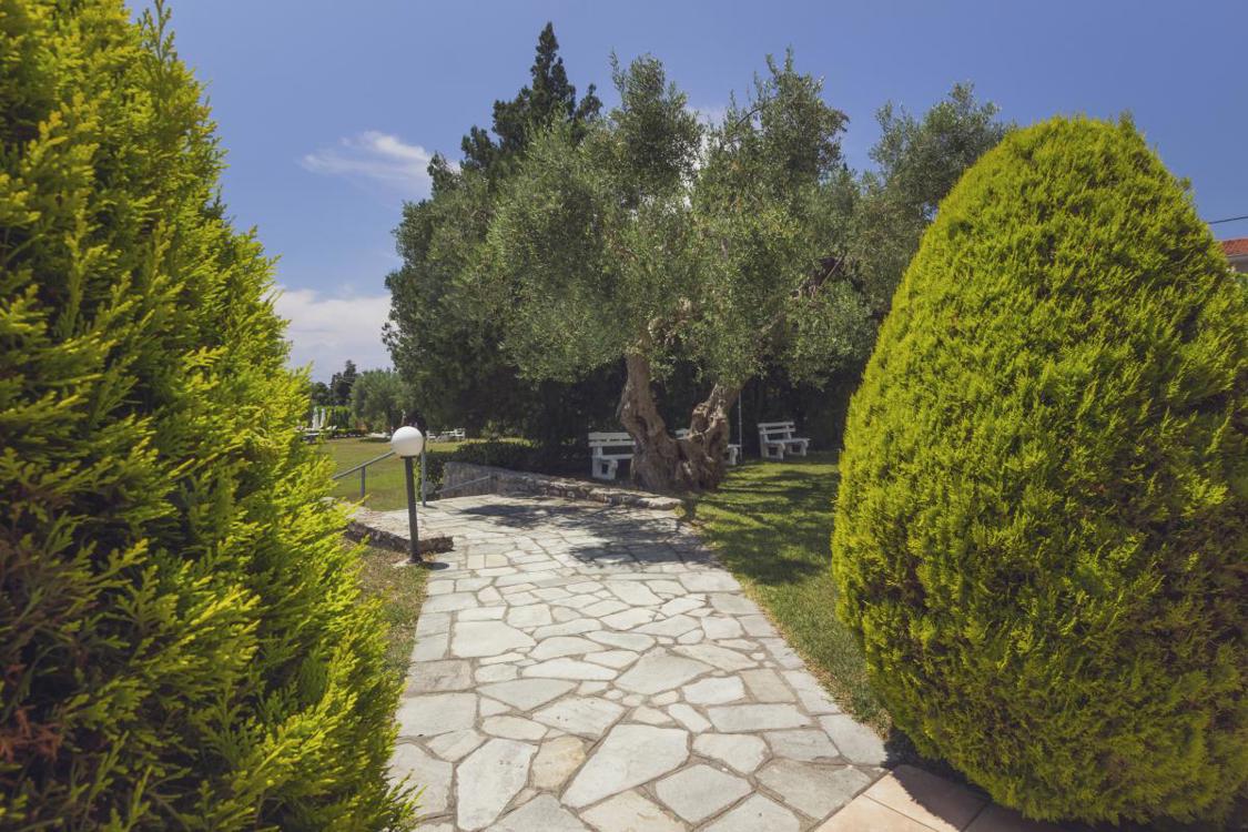 Отдых Отель Julia Hotel - Территория отеля