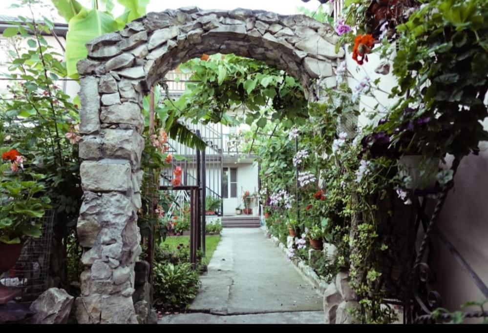 Отдых Гостевой дом Летний сад - Территория