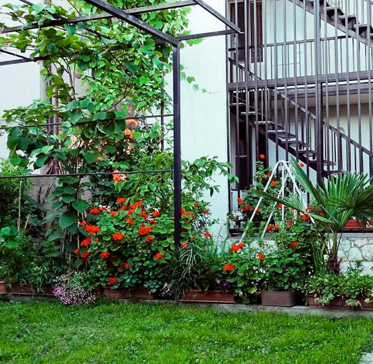 Отдых Гостевой дом Летний сад - Территория