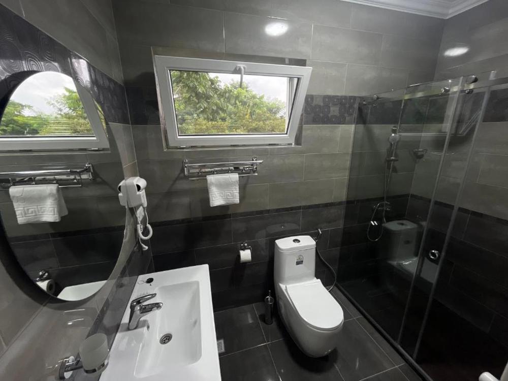 Отдых Гостевой дом David's - WC