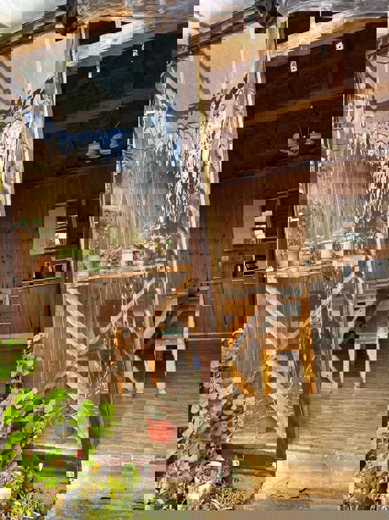 Отдых Гостевой дом АрЛе - Кухня