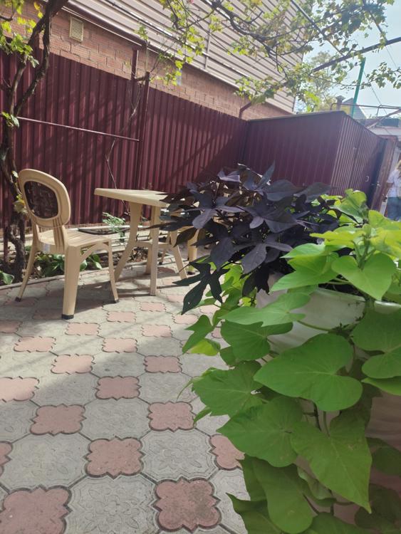 Отдых Гостевой дом На Калинина - Территория