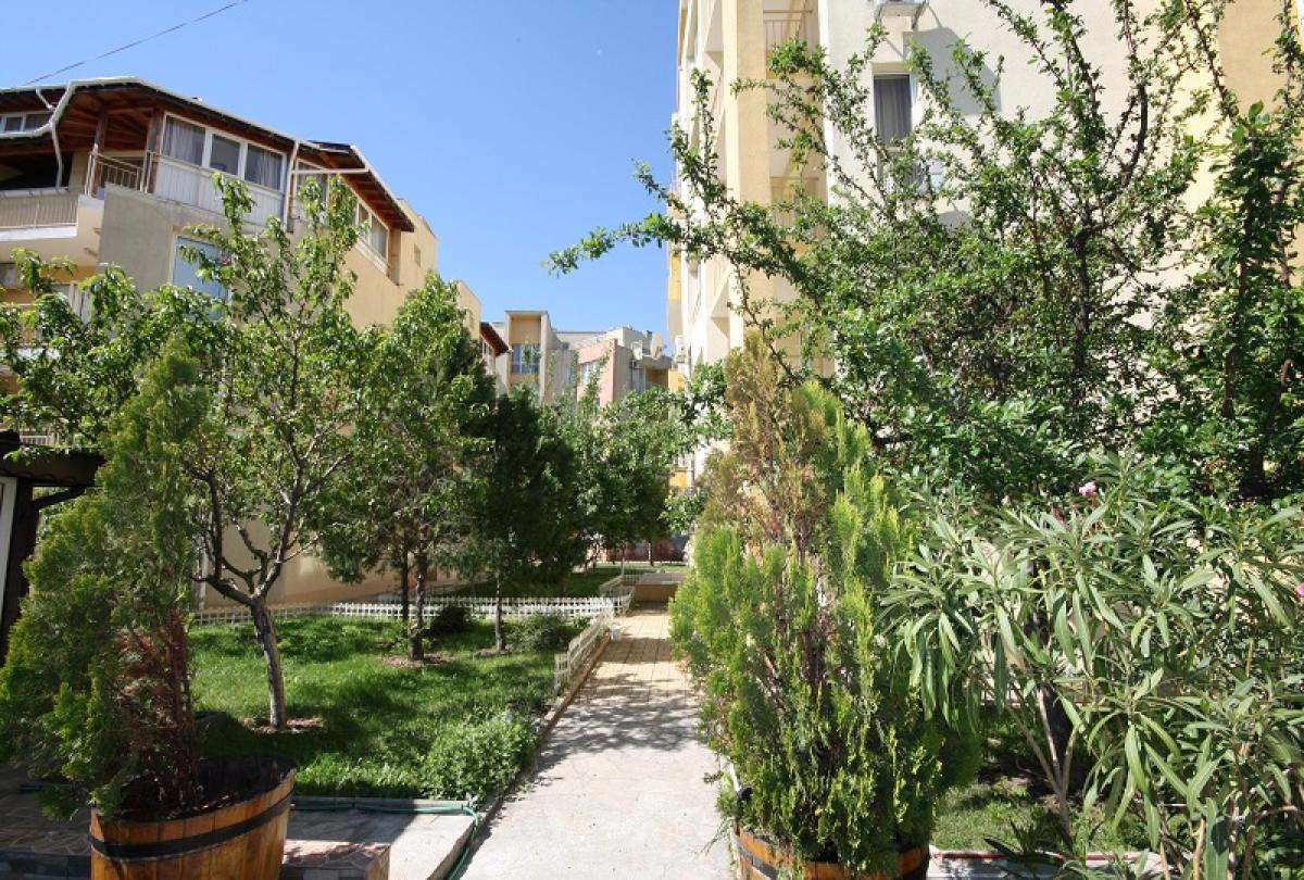 Отдых База отдыха Okay Holiday (отели Boomerang Residence и Palm Court) - Территория
