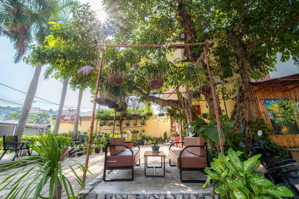 Отдых Отель Thai Hoa Muine Resort 3* - Территория