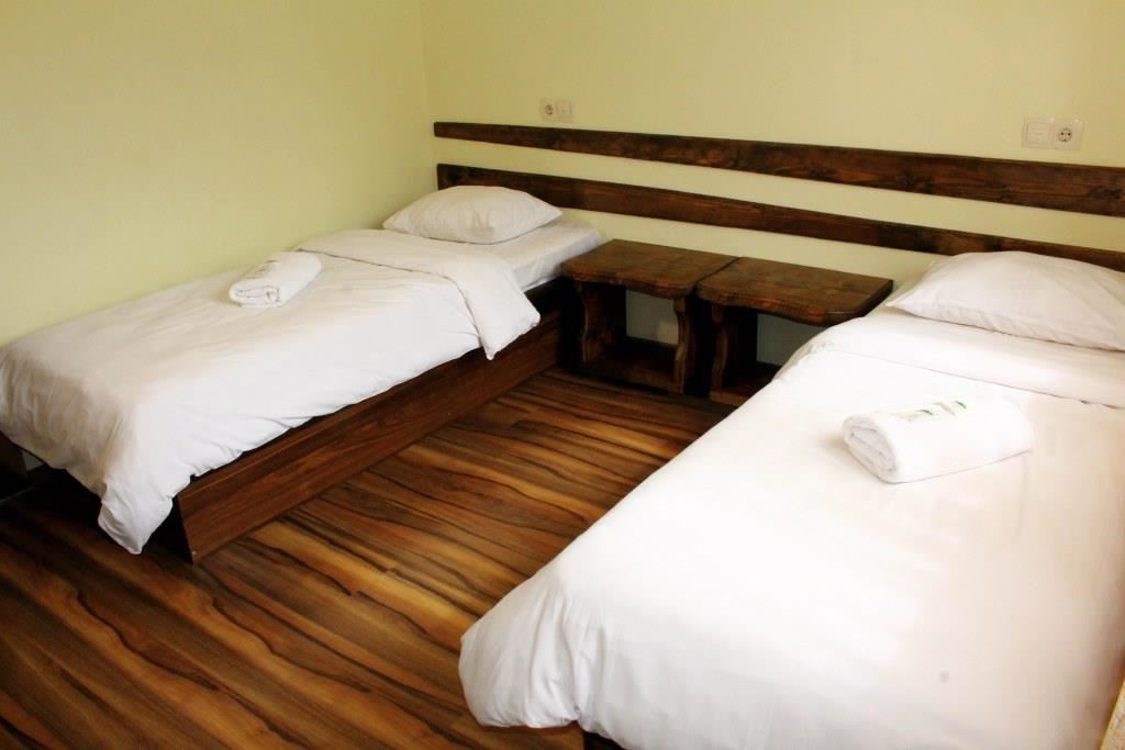 Отдых Отель Черемош - 2-х местный номер с двумя кроватями