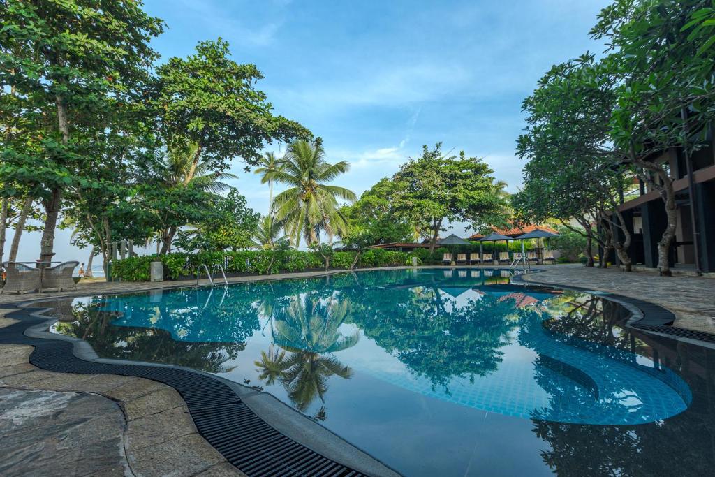 Отдых Отель Earl's Reef 4* - Бассейн