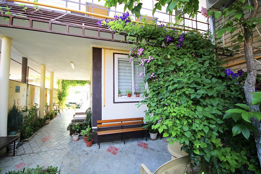 Отдых Гостевой дом Елена - Внутренний двор