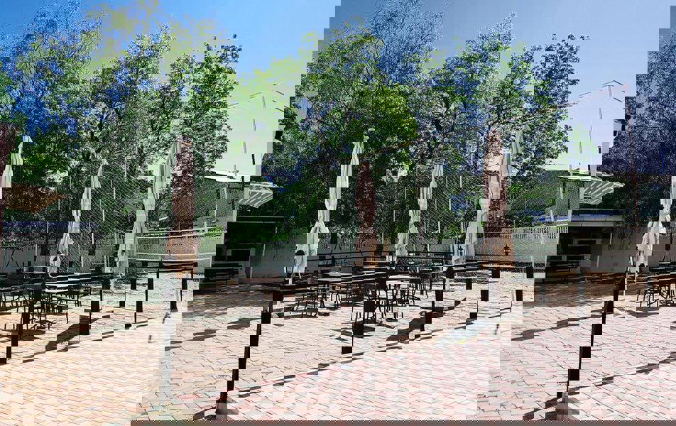 Отдых База отдыха Русалочка - Территория