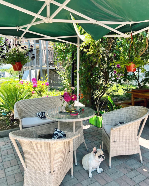 Отдых Гостевой дом Инга - Территория