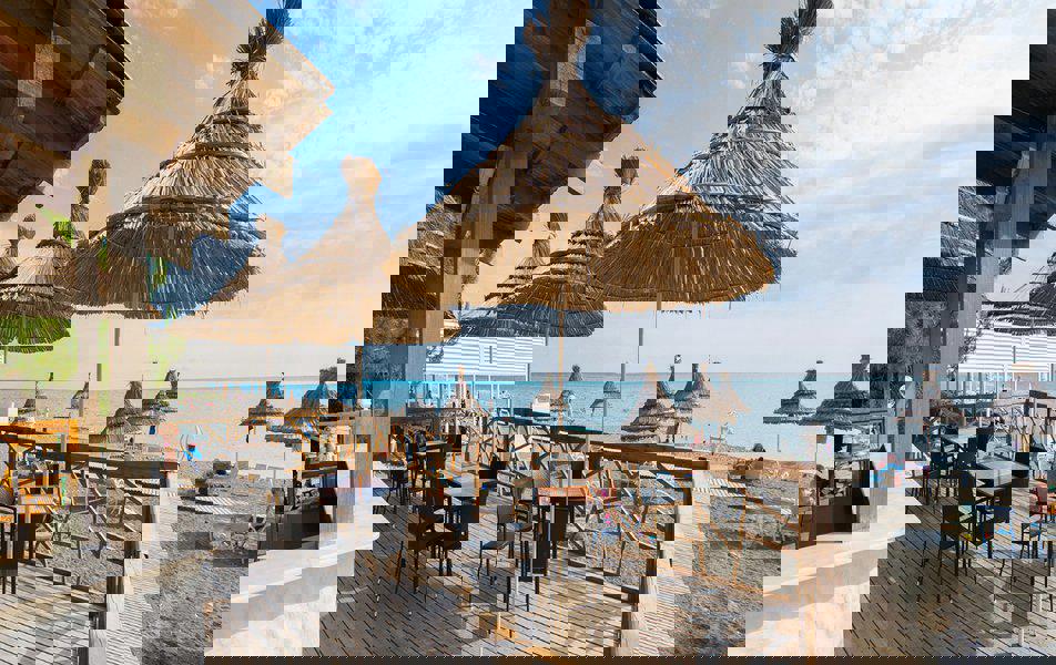 Отдых Санаторий Самшитовая роща - Кафе на пляже