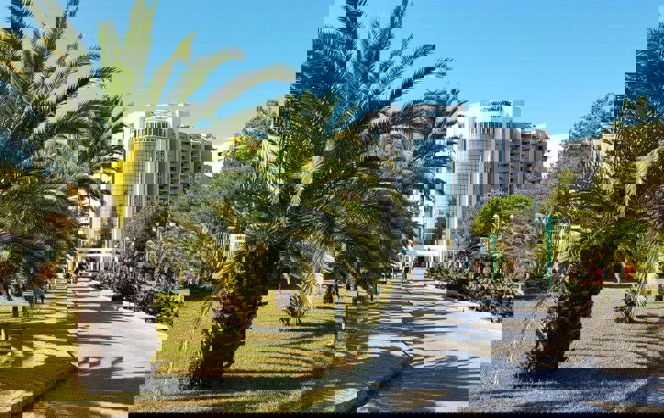 Отдых Санаторий Самшитовая роща - Территория