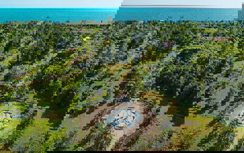 Отдых Санаторий Самшитовая роща - Территория, вид на море