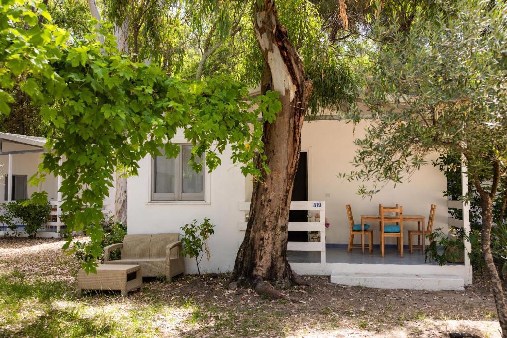 Отдых Отель Villaggio Campeggio Nettuno di Paestum - Бунгало