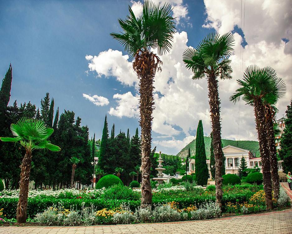 Отдых Санаторий Алушта - Территория с парком
