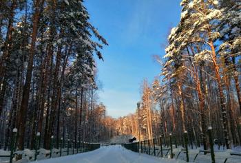 Тур Лепель - Боровка Лепельский р-н - Фото 4 Березинский заповедник