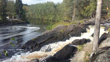 Тур Царское Село - Сортавала - Рускеала - Выборг - Фото 5