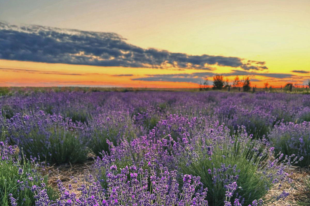 Автобусный тур Гомель - Рудня-Споницкая, выезд из Минскa