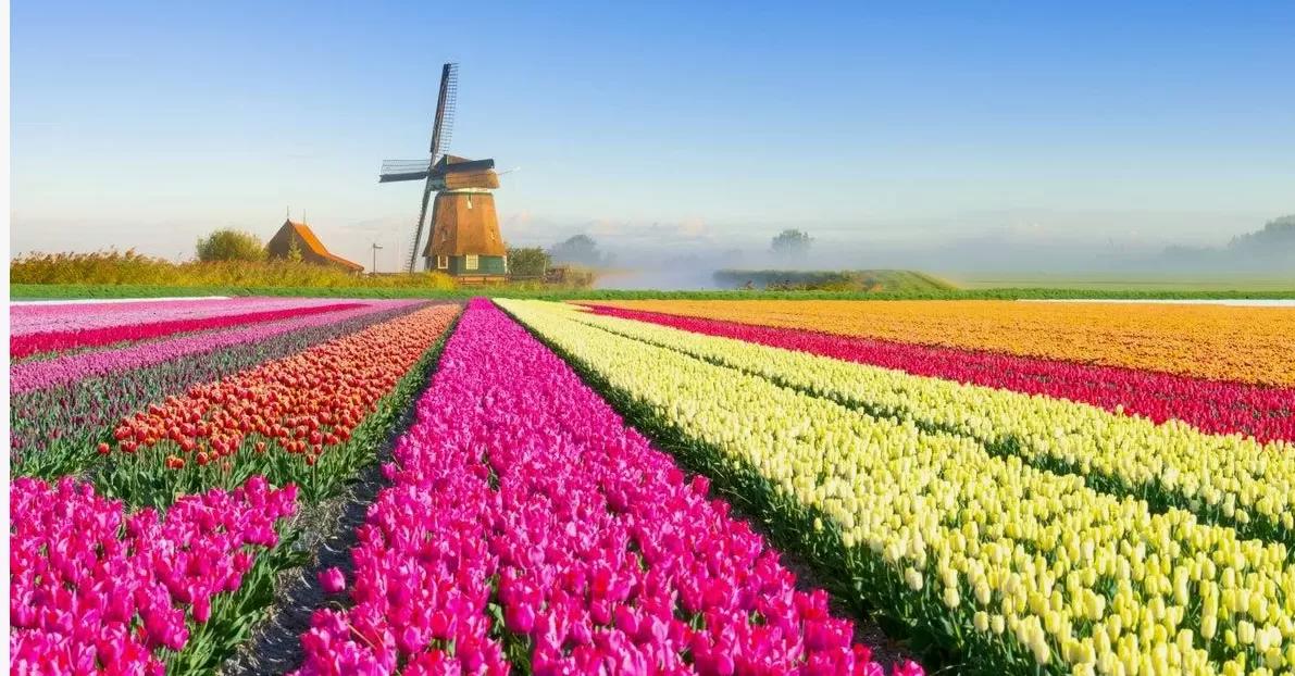 Автобусный тур Мотоль - Коссово, выезд из Минскa