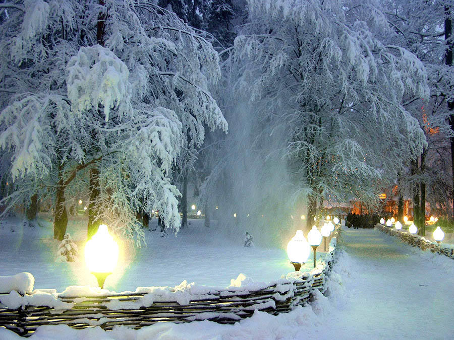 Тур Брест - Беловежская пуща - Ружаны - Коссово - Бездеж, выезд из Полоцкa, Витебскa, Орши, Могилевa, Рогачёвa, Жлобинa