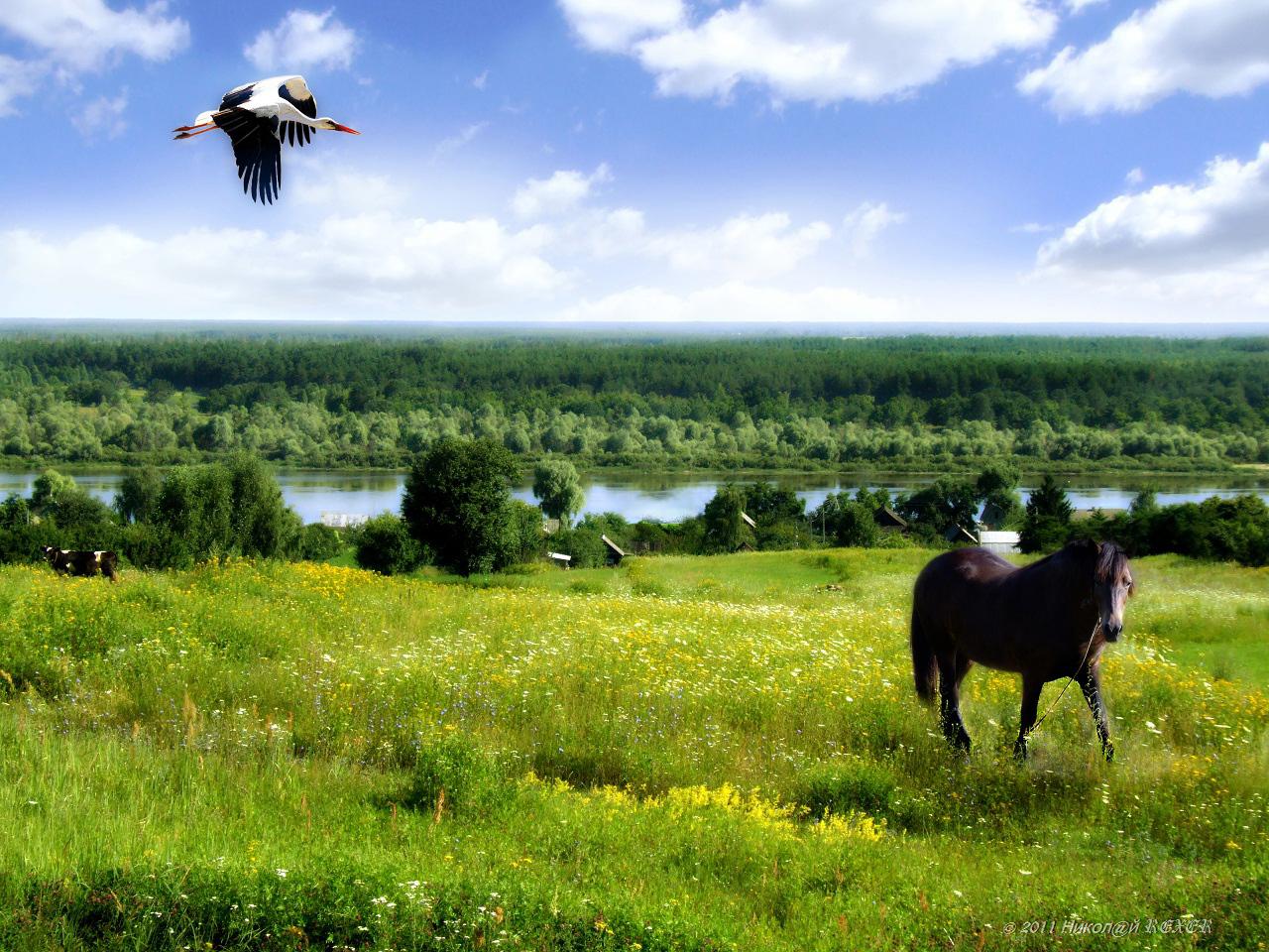 Тур Брест - Коссово - Ружаны - Тышковичи - Бездеж - Пинск, выезд из Гомеля, Речици, Калинковичей