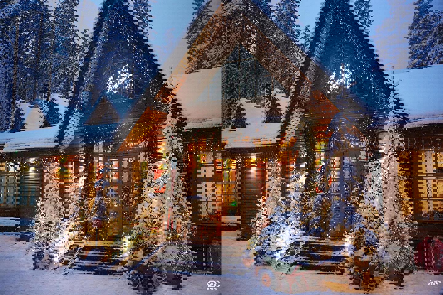 Автобусный тур национальный парк Припятский - Туров, выезд из Гомеля, Речици