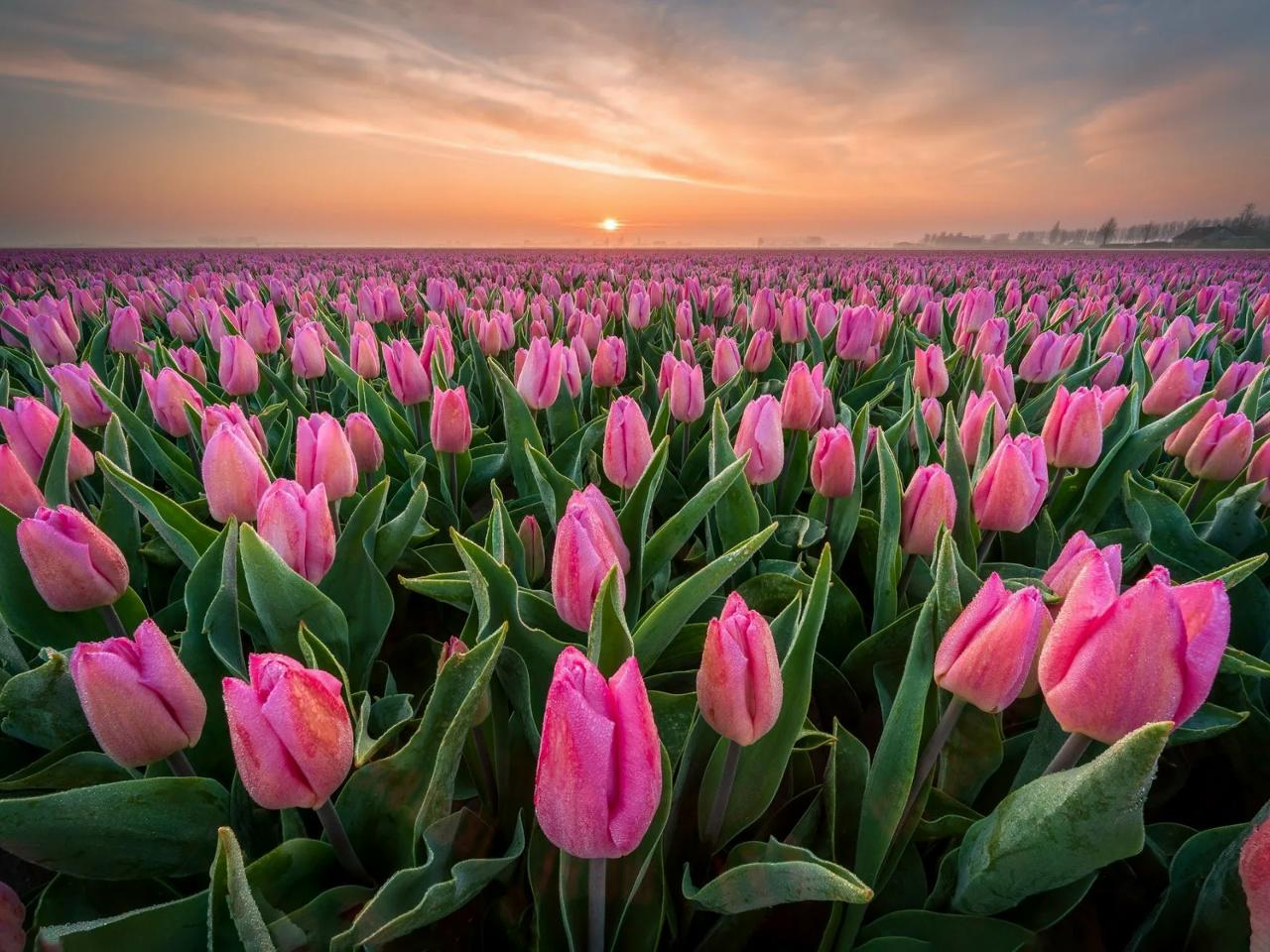 Тур Брест - Коссово - Ружаны - Тышковичи - Бездеж - Пинск, выезд из Гомеля, Речици, Калинковичей