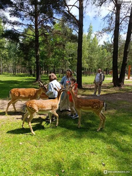 Тур Барановичи - Фото 2