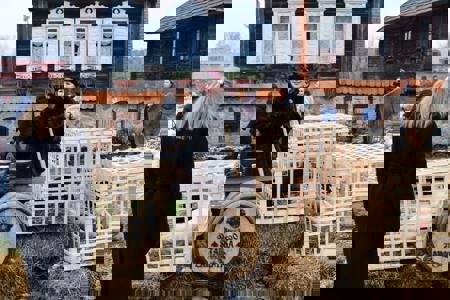 Тур Сула - Рубежевичи - Фото 1