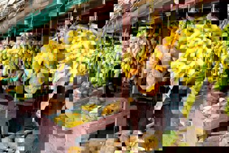 Тур Мирбат - Салала - Фото 1