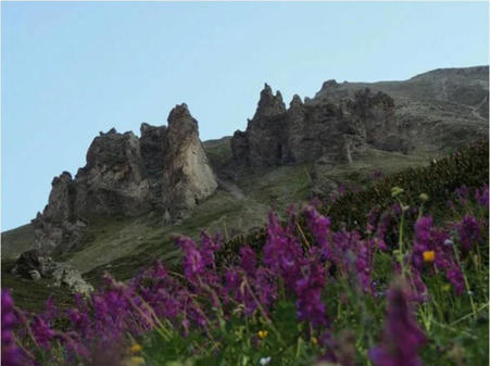 Тур Владикавказ - Фото 2