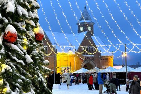 Тур Санкт-Петербург - Выборг* - Петергоф - Ораниенбаум - Фото 7