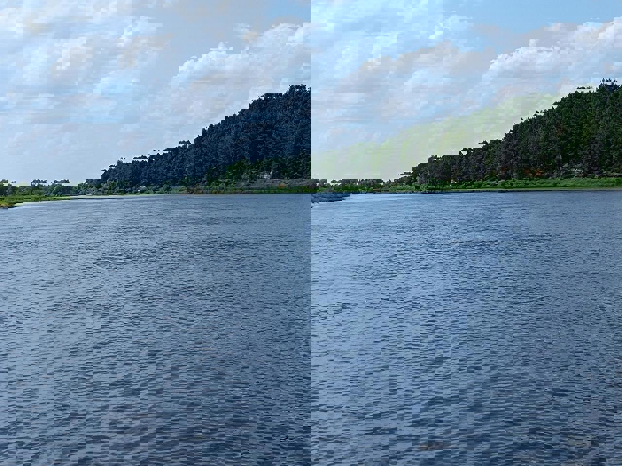 Автобусный тур Туров - национальный парк Припятский - Лясковичи, выезд из Минскa