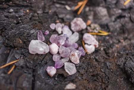 Тур Умба - Кандалакша - Кашкаранцы - Апатиты - Кировск - Териберка - Мурманск - Фото 8