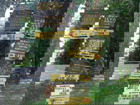 Тур Коссово - Кобрин - Брест - Скоки - Каменец - Беловежская пуща - Фото 6