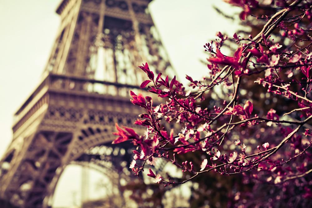 Автобусный тур Берлин - Амстердам - Зансе-Сханс* - Париж - Версаль* - Прага, выезд из Минскa, Брестa