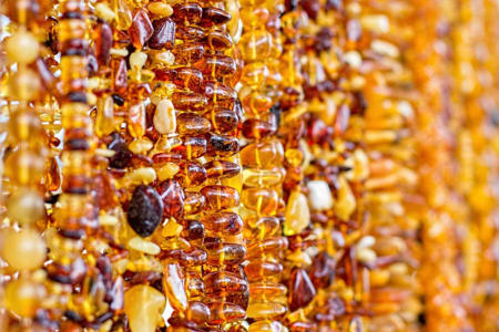 Тур Калининград - Светлогорск - Янтарный - Балтийск - национальный парк Куршская коса* - Зеленоградск - Фото 9