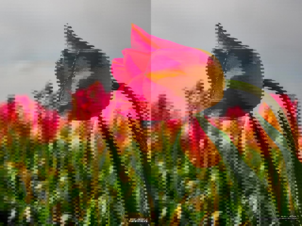 Автобусный тур Мотоль, выезд из Минскa