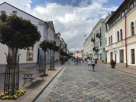Тур Минск - Гродно - Беловежская пуща - Каменец - Брест - Фото 2