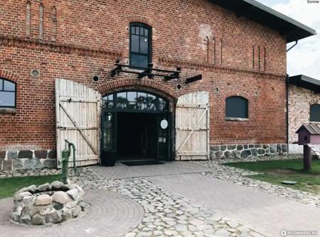 Тур Калининград - Янтарный - Светлогорск - Зеленоградск - Фото 11