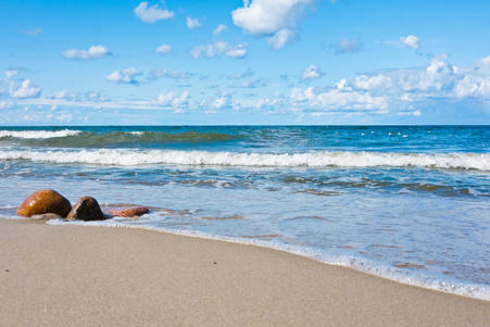 Тур Калининград - национальный парк Куршская коса - Зеленоградск - Янтарный* - Светлогорск* - Балтийск* - Некрасово Калининградская обл.* - Орловка Калининградская обл.* - Черняховск* - Фото 14