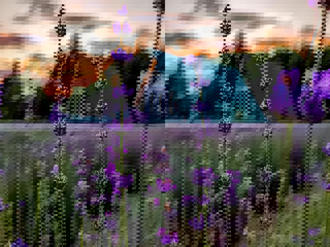 Автобусный тур Налибокская пуща - Ивенец, выезд из Минскa