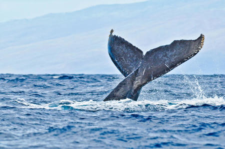Тур Умба - Кандалакша - Кашкаранцы - Апатиты - Кировск - Териберка - Мурманск - Фото 17