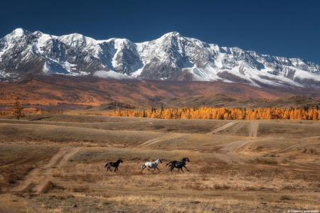 Тур Горно-Алтайск - Фото 6