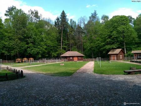 Тур Минск - Гродно - Беловежская пуща - Каменец - Брест - Фото 11
