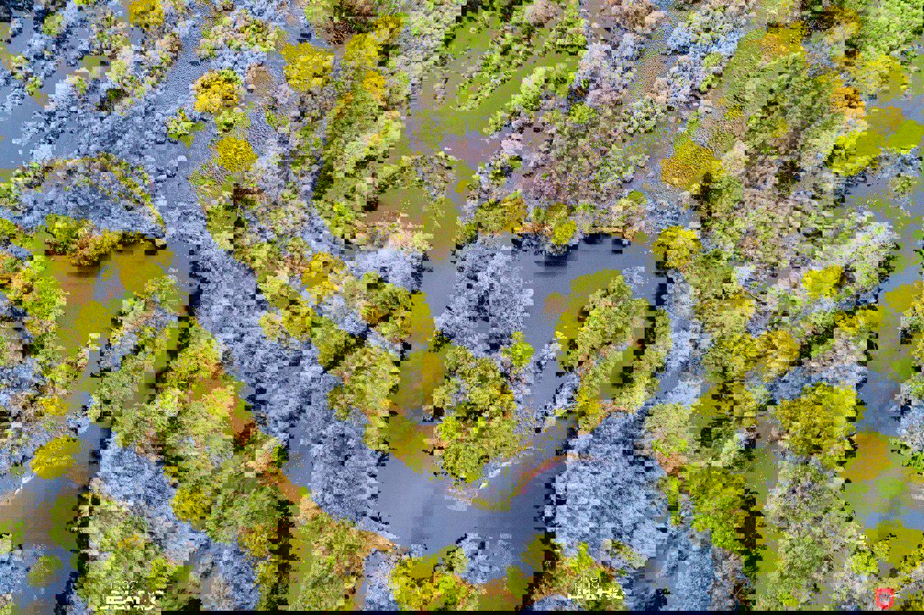 Автобусный тур Лясковичи - национальный парк Припятский, выезд из Минскa