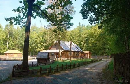Тур Минск - Бобруйск - Жиличи - Хатынь - Брест - Каменец - Беловежская пуща - Фото 18