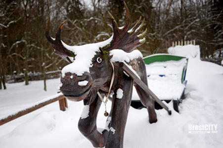 Тур Беловежская пуща - Каменец - Фото 4