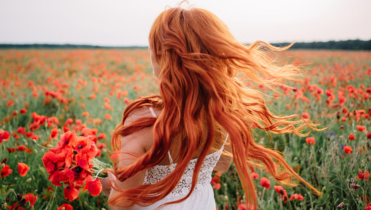 Автобусный тур Пушкинские горы - Псков - Печоры, выезд из Минскa