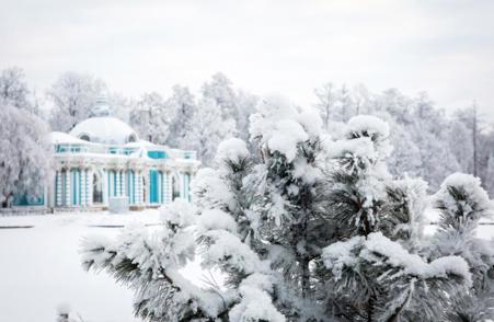 Тур Санкт-Петербург - Царское Село - Фото 11