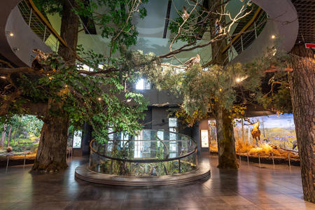 Тур Лясковичи - национальный парк Припятский - Фото 2